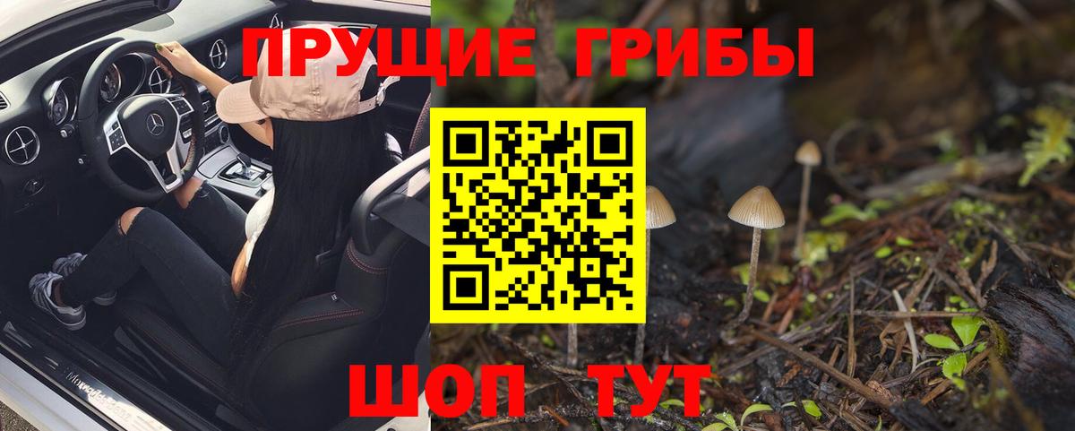Псилоцибиновые грибы прущие грибы  Псилоцибиновые грибы MAGIC MUSHROOMS  Вход с VPN  Белореченск 